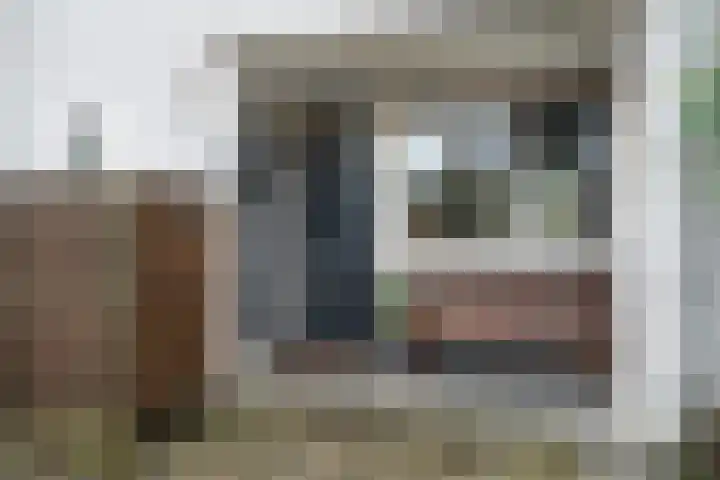Kramerplan 29 Zoetermeer thumbnail 8