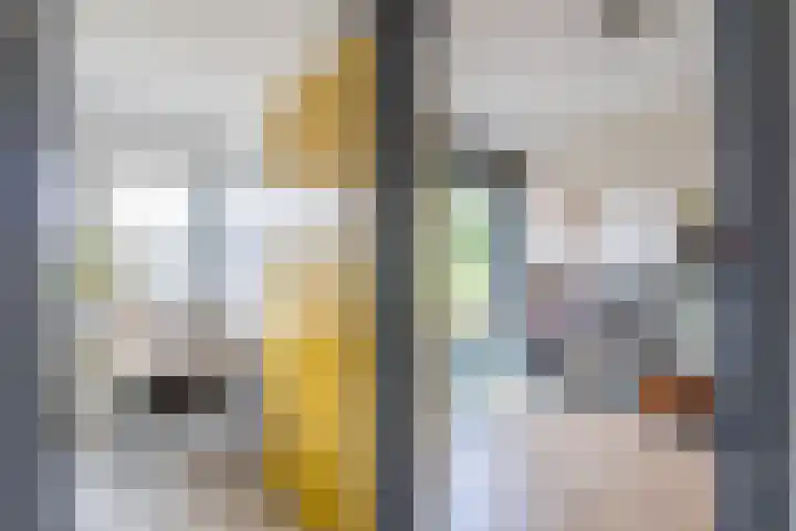 Kramerstraat 4 Groningen thumbnail 29