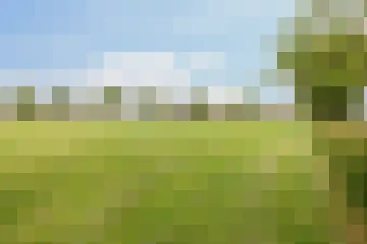 Kramerstraat 4 Groningen thumbnail 38