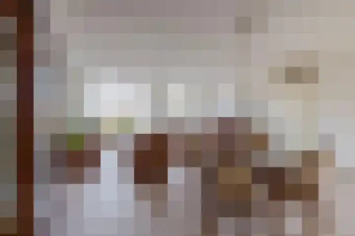 Krammer 32 h Brielle thumbnail 10