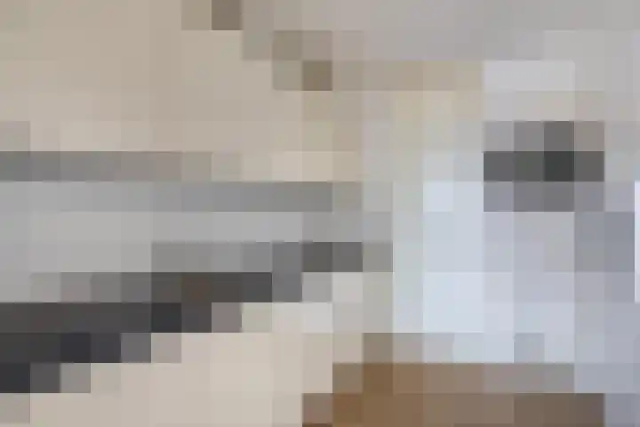 Krammer 32 h Brielle thumbnail 14