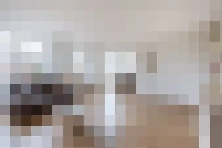 Krammer 32 h Brielle thumbnail 18
