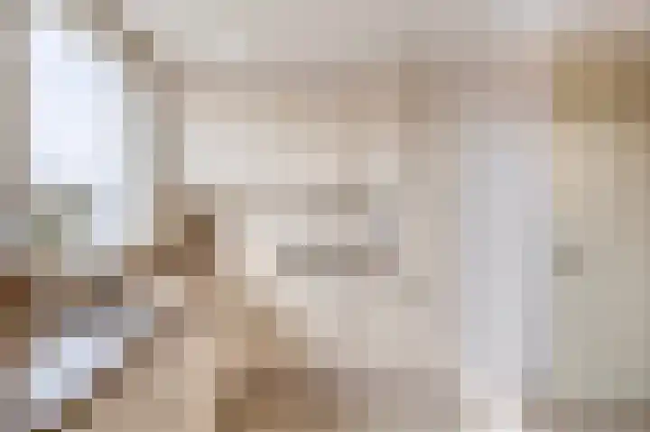 Krammer 32 h Brielle thumbnail 20