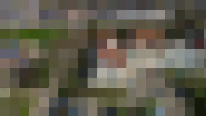 Krammer 32 h Brielle thumbnail 31