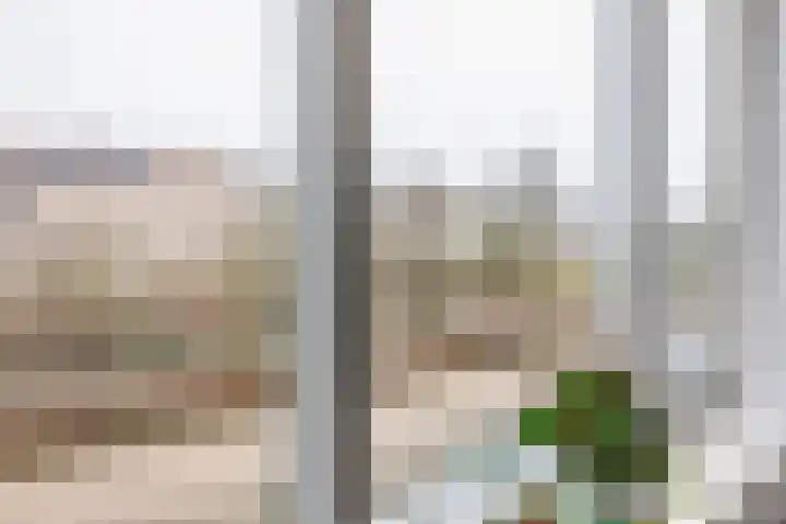 Krammer 32 h Brielle thumbnail 31
