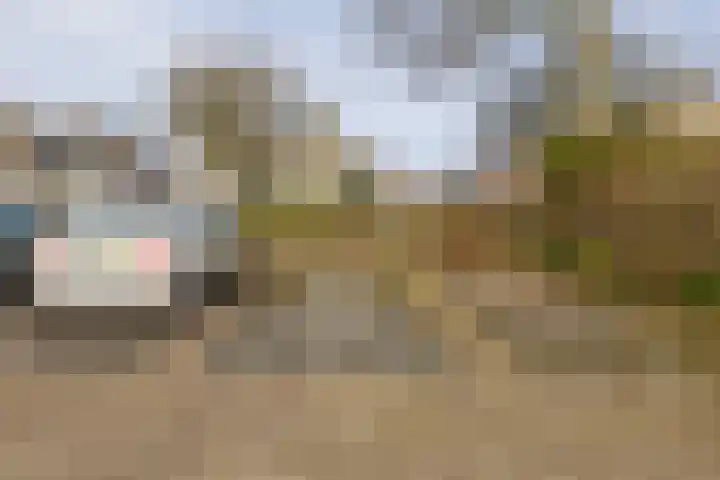 Krammer 32 h Brielle thumbnail 36