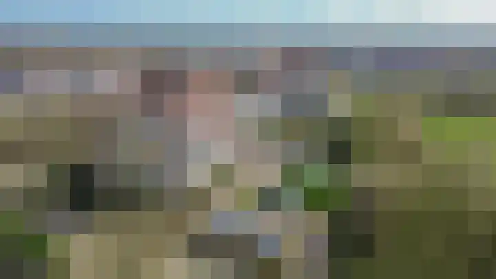 Krammer 32 h Brielle thumbnail 42