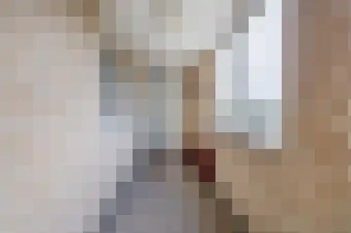 Krammer 32 h Brielle thumbnail 6