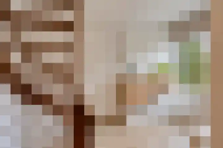 Krammer 8 Kaatsheuvel thumbnail 20