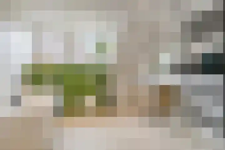 Krammer 8 Kaatsheuvel thumbnail 23