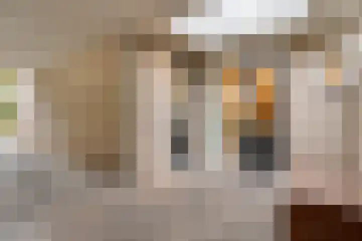 Krammer 8 Kaatsheuvel thumbnail 5