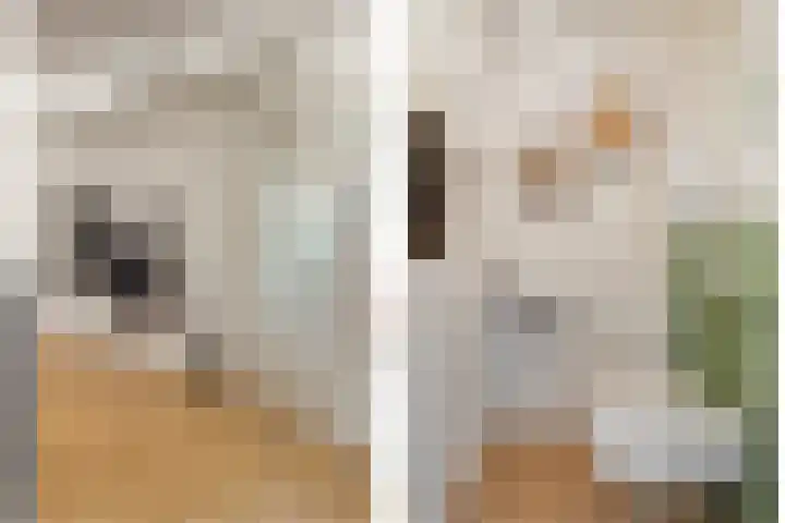 Krammer 8 Kaatsheuvel thumbnail 7