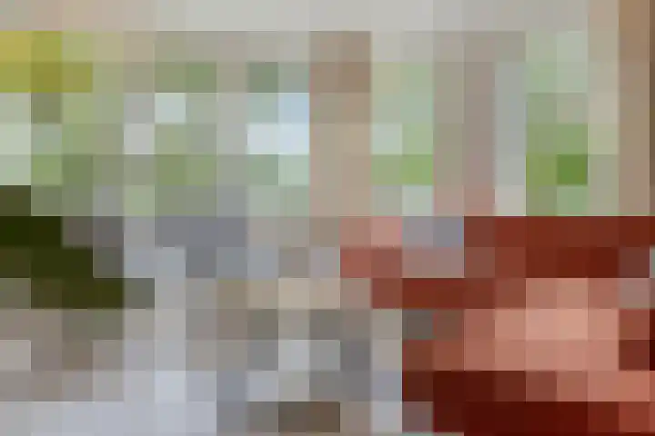 Krammer 8 Kaatsheuvel thumbnail 9