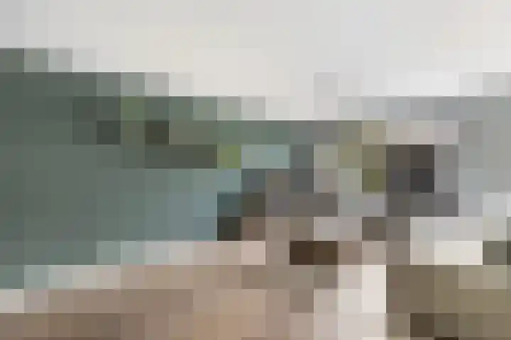 Krammer 86 Brielle thumbnail 10