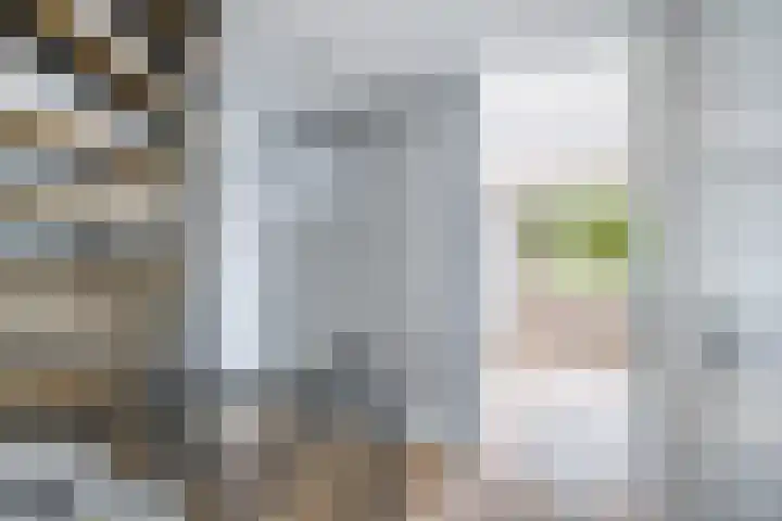 Krammer 86 Brielle thumbnail 21