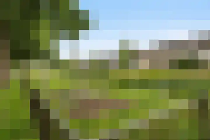 Krammer 86 Brielle thumbnail 51
