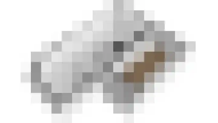 Kramsvogel 29 Eijsden thumbnail 25