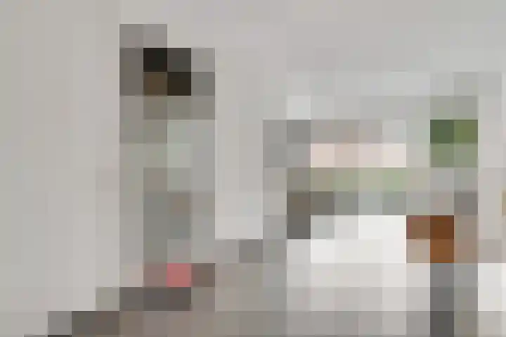 Kramsvogel 29 Eijsden thumbnail 5