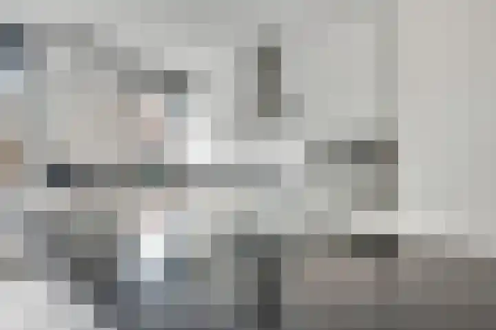 Kramsvogel 29 Eijsden thumbnail 8