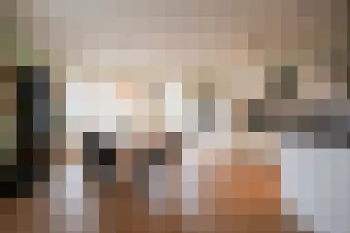 Kramsvogel 33 Eijsden thumbnail 10