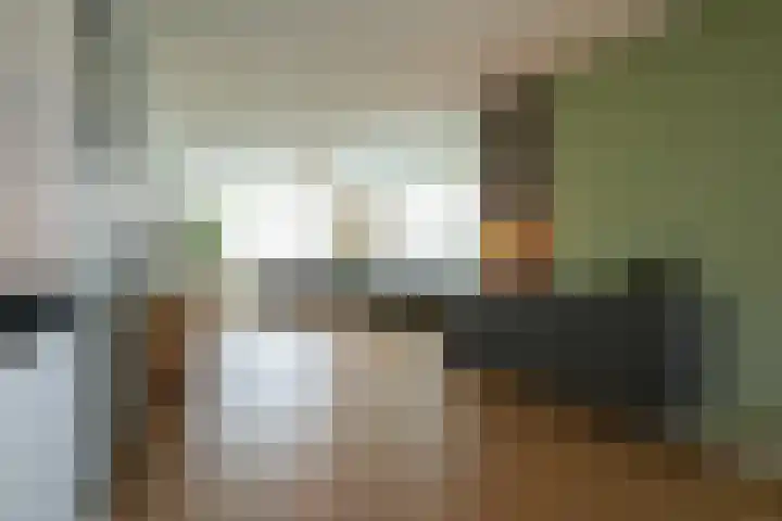 Kramsvogel 33 Eijsden thumbnail 16