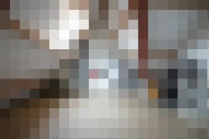 Kramsvogel 33 Eijsden thumbnail 28