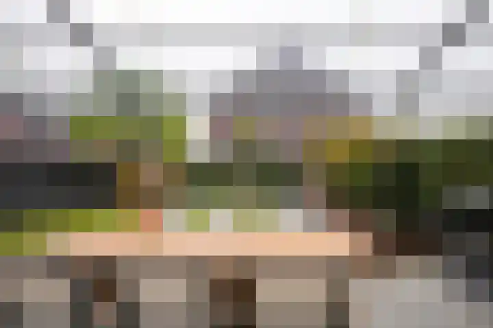 Kramsvogel 33 Eijsden thumbnail 30