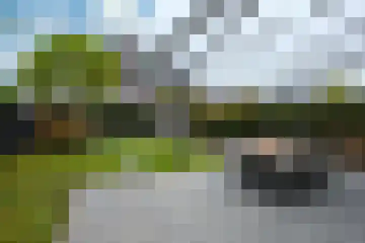 Kramsvogel 33 Eijsden thumbnail 31