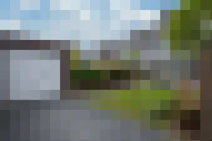 Kramsvogel 33 Eijsden thumbnail 33