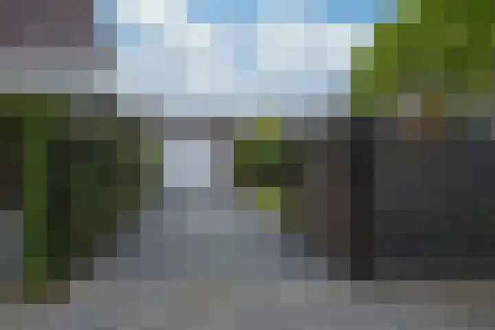 Kramsvogel 33 Eijsden thumbnail 34