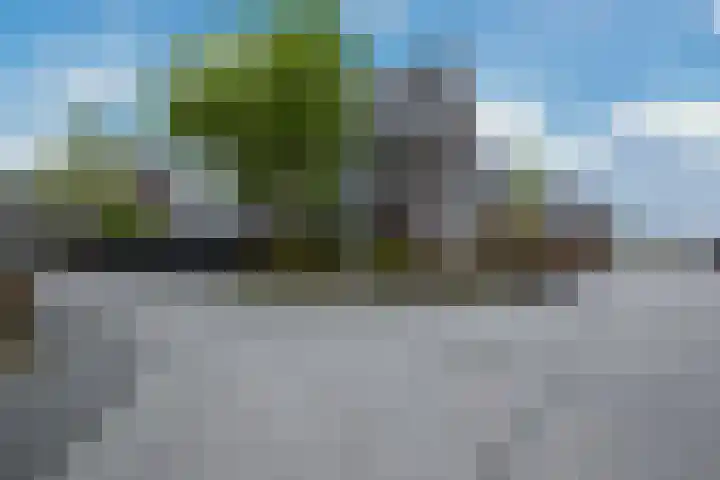 Kramsvogel 33 Eijsden thumbnail 36