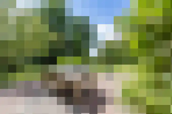 Krassumerstraat 23 Garnwerd thumbnail 34