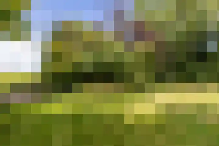 Krassumerstraat 23 Garnwerd thumbnail 37