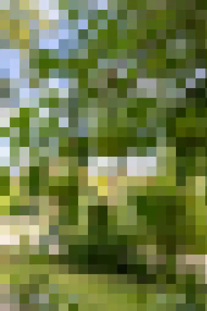 Krassumerstraat 23 Garnwerd thumbnail 57