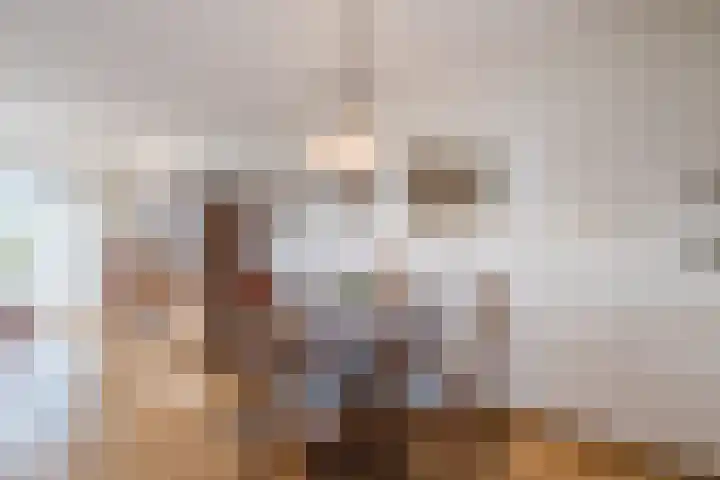 Kreeft 1 Katwijk thumbnail 16