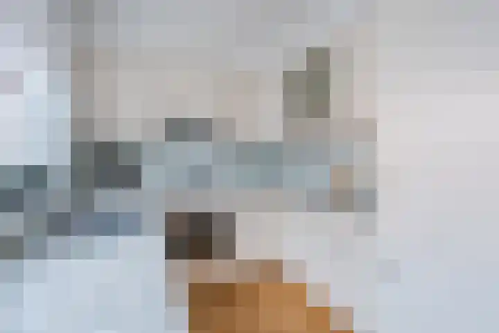Kreeft 1 Katwijk thumbnail 20
