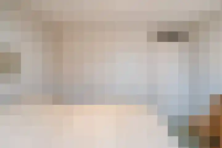 Kreeft 1 Katwijk thumbnail 28