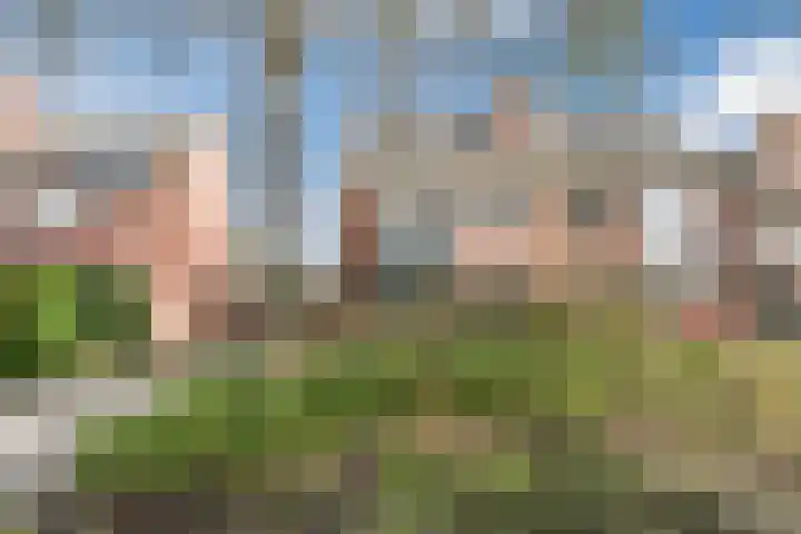 Kreeft 1 Katwijk thumbnail 4