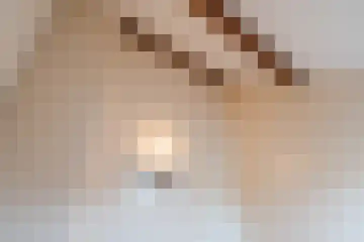 Kreeft 1 Katwijk thumbnail 40