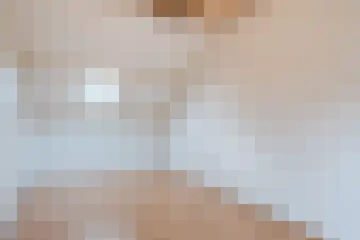 Kreeft 1 Katwijk thumbnail 44