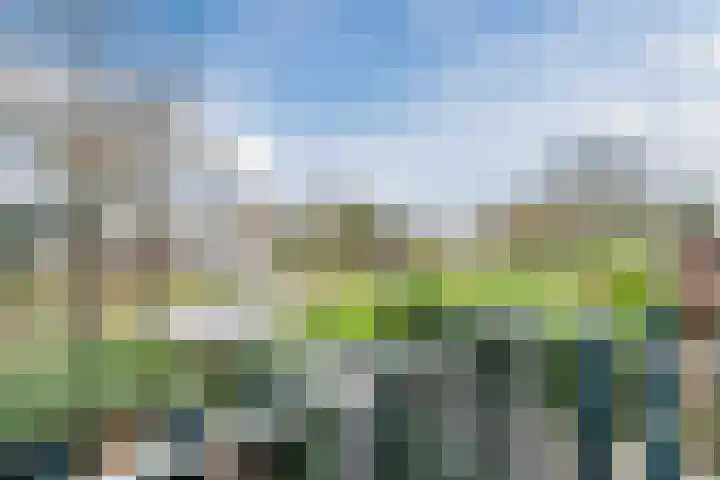 Kreeft 1 Katwijk thumbnail 46