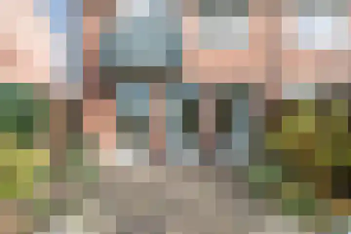 Kreeft 1 Katwijk thumbnail 47