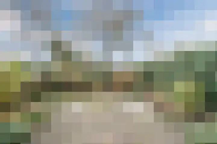 Kreeft 1 Katwijk thumbnail 48