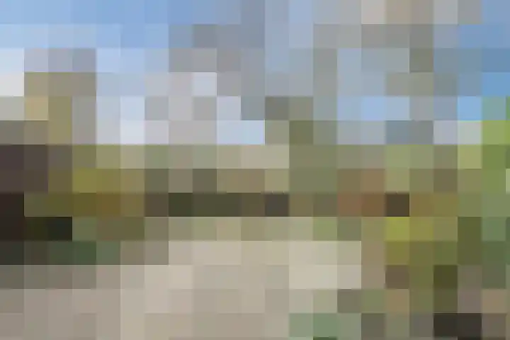 Kreeft 1 Katwijk thumbnail 49