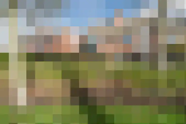 Kreeft 1 Katwijk thumbnail 56