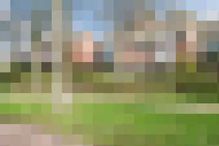 Kreeft 1 Katwijk thumbnail 57