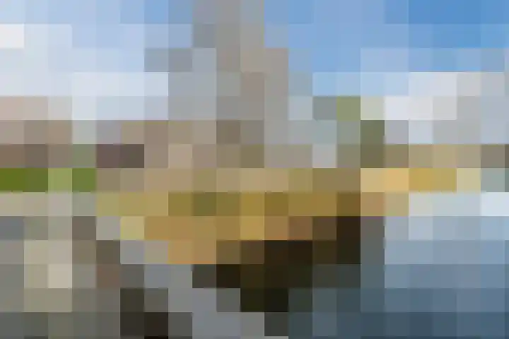 Kreeft 1 Katwijk thumbnail 60
