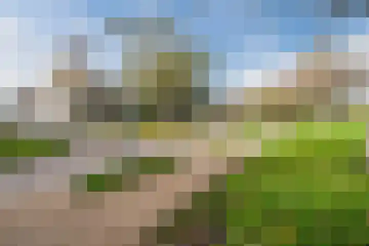 Kreeft 1 Katwijk thumbnail 61