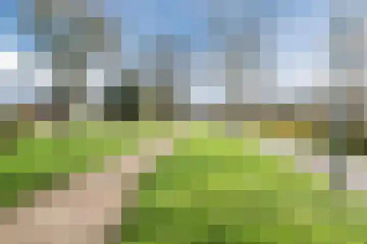 Kreeft 1 Katwijk thumbnail 62