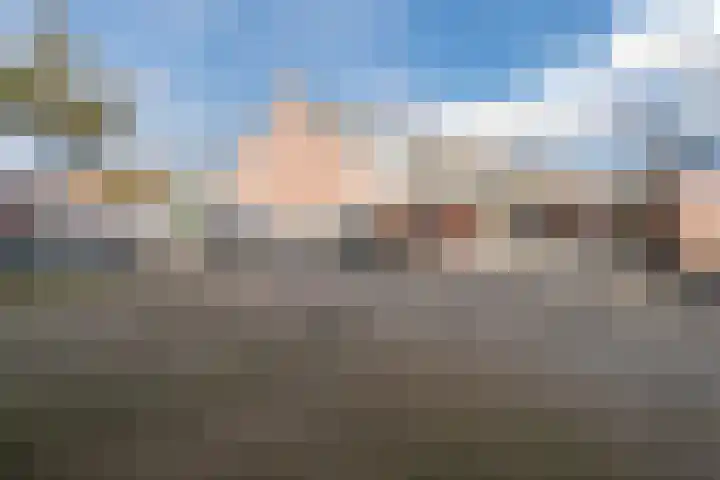 Kreeft 1 Katwijk thumbnail 63
